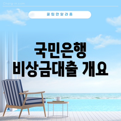 국민은행 비상금대출 개요