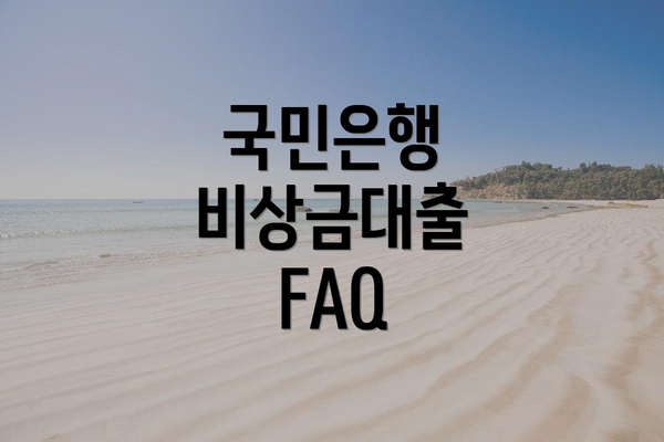 국민은행 비상금대출 FAQ