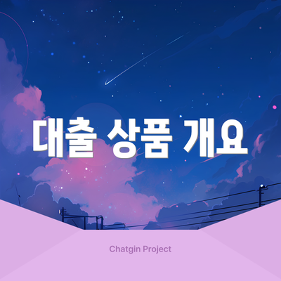 대출 상품 개요