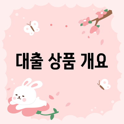 대출 상품 개요