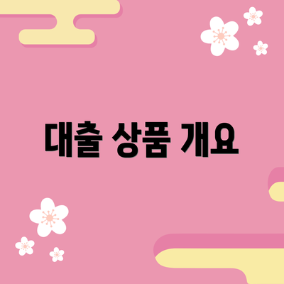 대출 상품 개요