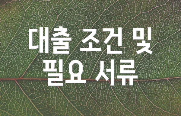 대출 조건 및 필요 서류