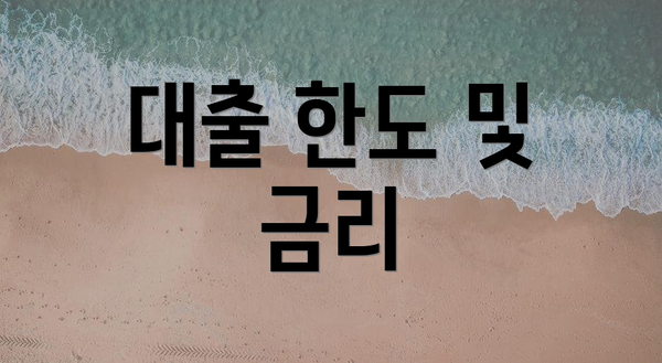 대출 한도 및 금리