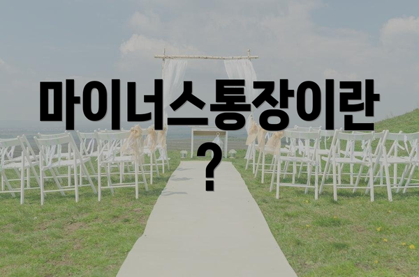 마이너스통장이란?