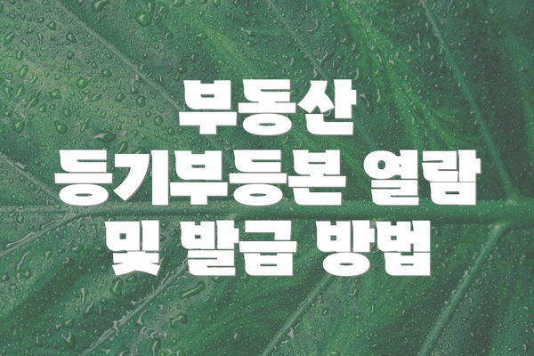 부동산 등기부등본 열람 및 발급 방법