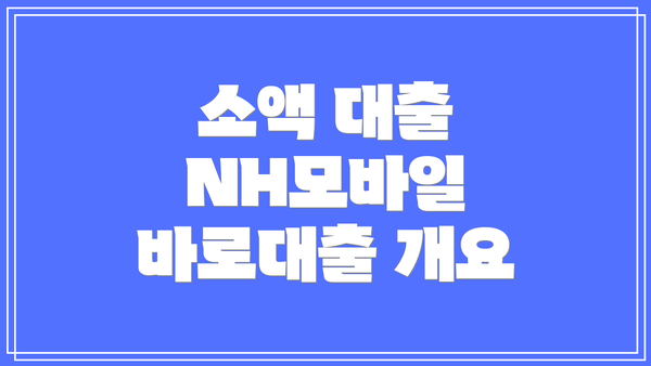 소액 대출 NH모바일 바로대출 개요