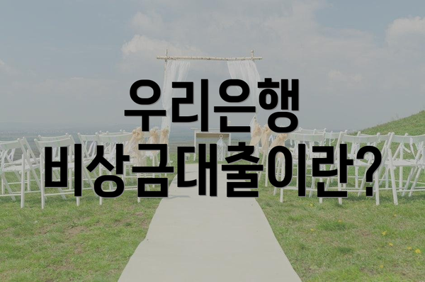 우리은행 비상금대출이란?