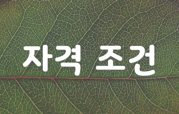 자격 조건