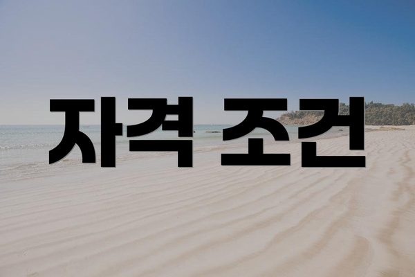 자격 조건