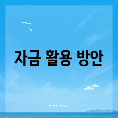 자금 활용 방안