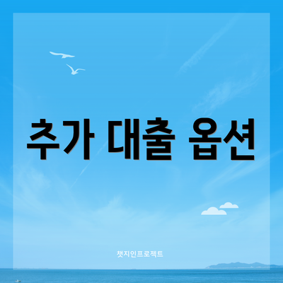 추가 대출 옵션