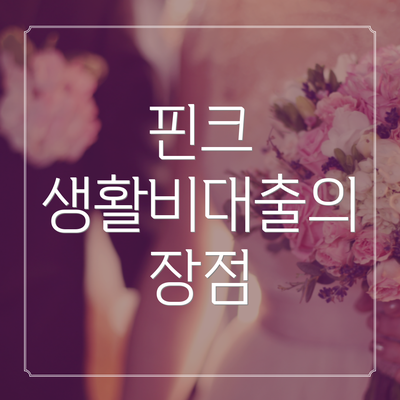 핀크 생활비대출의 장점