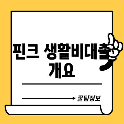 핀크 생활비대출 개요