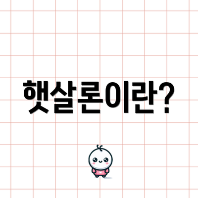 햇살론이란?