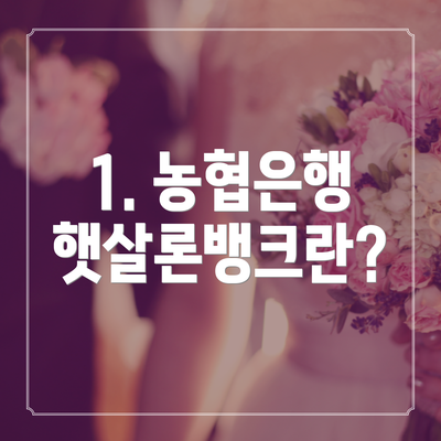 1. 농협은행 햇살론뱅크란?