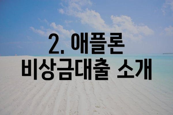 2. 애플론 비상금대출 소개