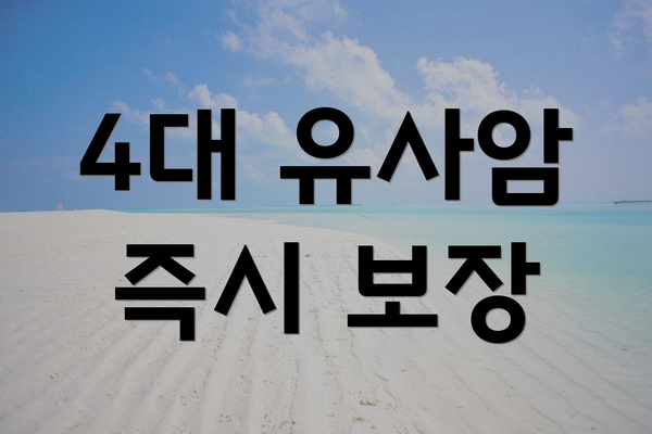 4대 유사암 즉시 보장