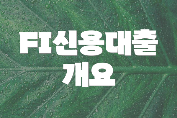 FI신용대출 개요
