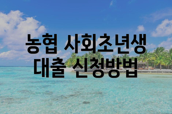 농협 사회초년생 대출 신청방법