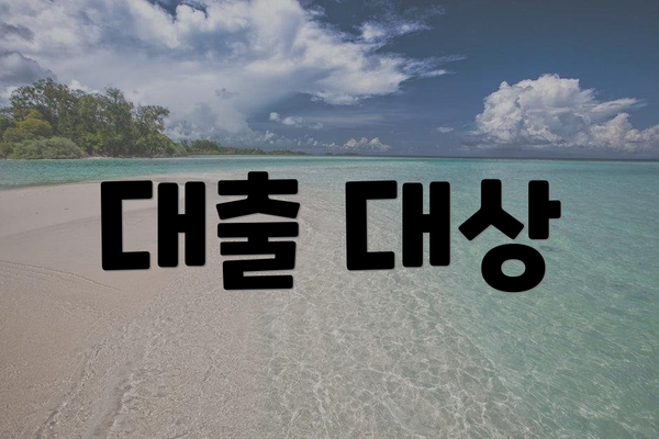대출 대상