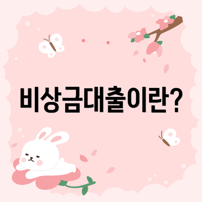 비상금대출이란?