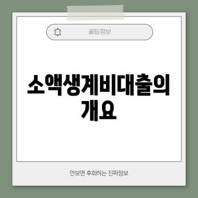 소액생계비대출의 개요