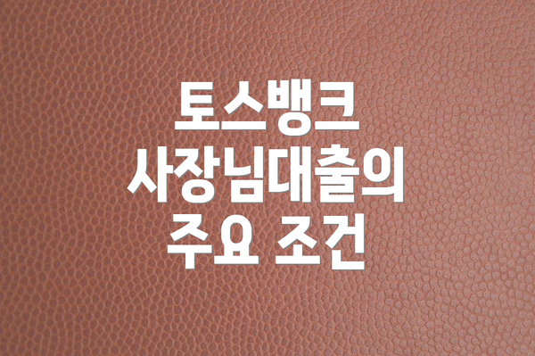 토스뱅크 사장님대출의 주요 조건