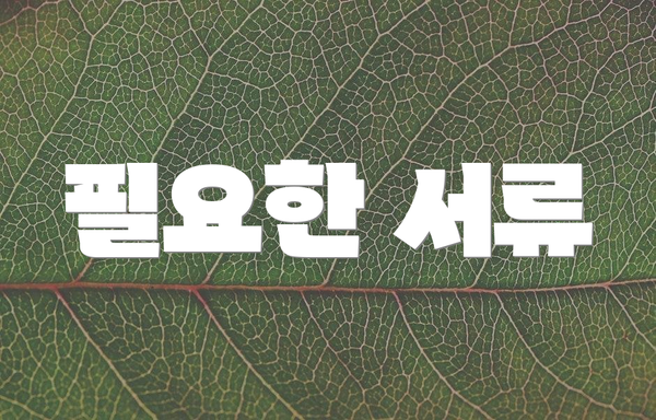 필요한 서류