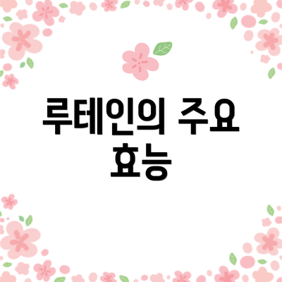 루테인의 주요 효능