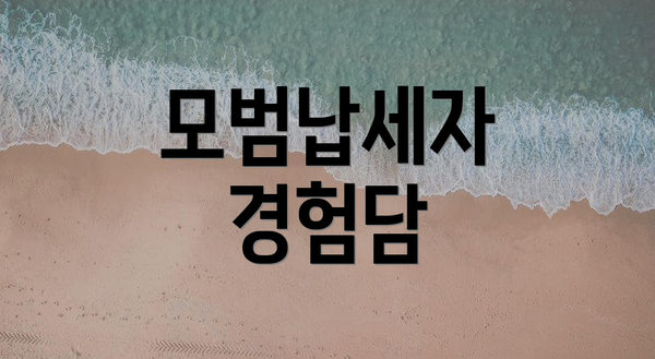 모범납세자 경험담