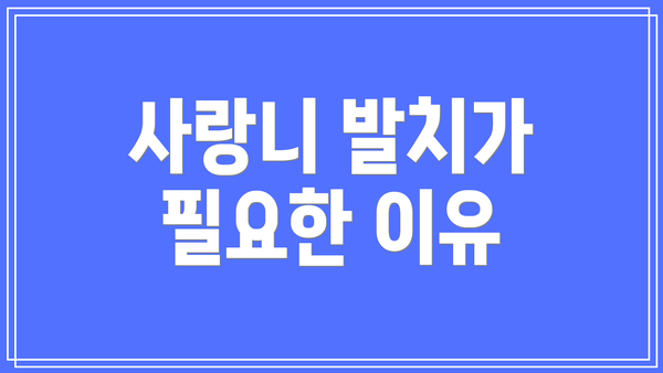 사랑니 발치가 필요한 이유