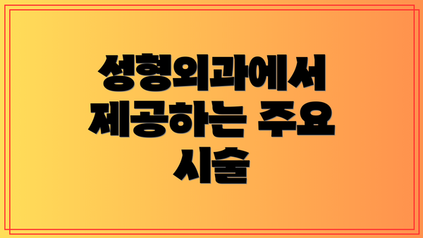 성형외과에서 제공하는 주요 시술