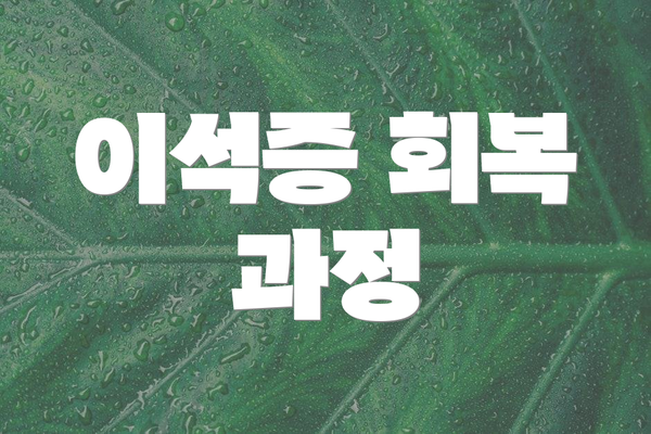 이석증 회복 과정