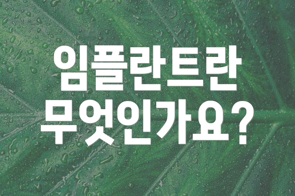 임플란트란 무엇인가요?