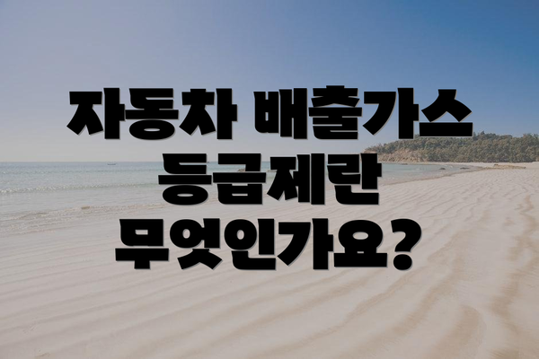 자동차 배출가스 등급제란 무엇인가요?