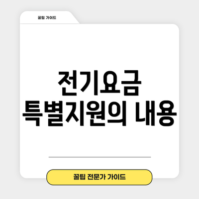 전기요금 특별지원의 내용