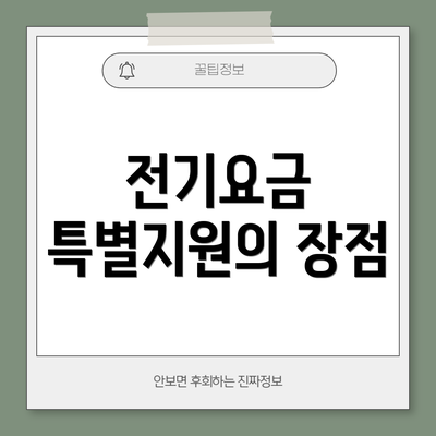 전기요금 특별지원의 장점