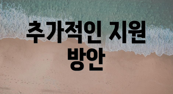 추가적인 지원 방안