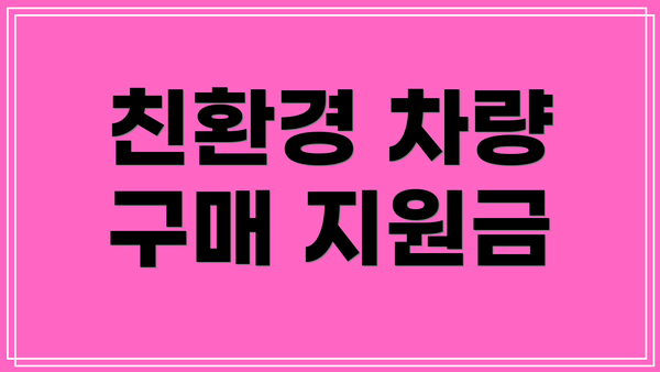 친환경 차량 구매 지원금