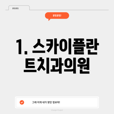 1. 스카이플란트치과의원