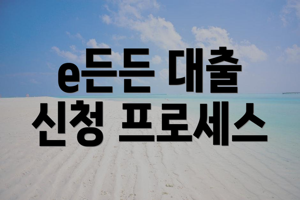 e든든 대출 신청 프로세스