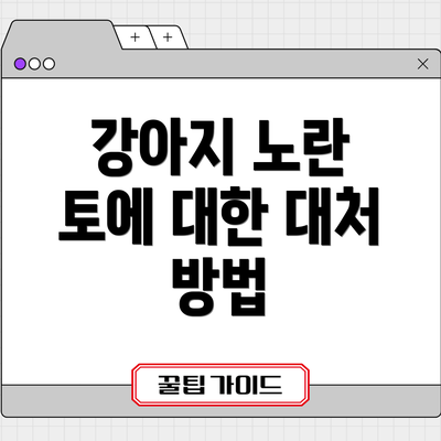 강아지 노란 토에 대한 대처 방법