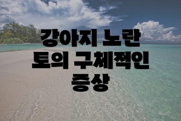 강아지 노란 토의 구체적인 증상