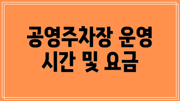 공영주차장 운영 시간 및 요금