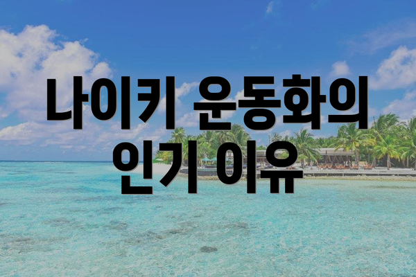 나이키 운동화의 인기 이유