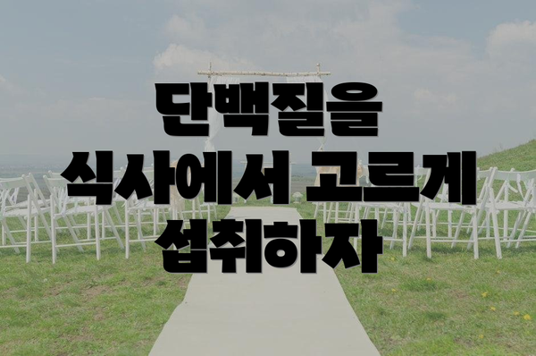 단백질을 식사에서 고르게 섭취하자