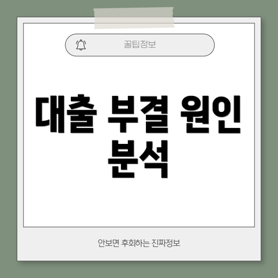 대출 부결 원인 분석