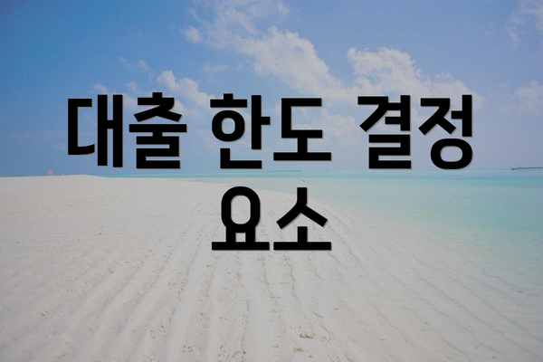 대출 한도 결정 요소