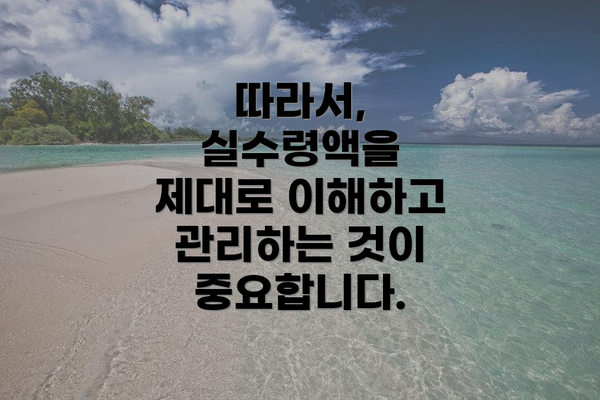 따라서, 실수령액을 제대로 이해하고 관리하는 것이 중요합니다.