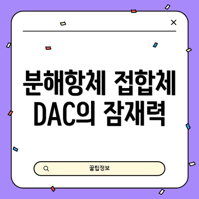 분해항체 접합체 DAC의 잠재력